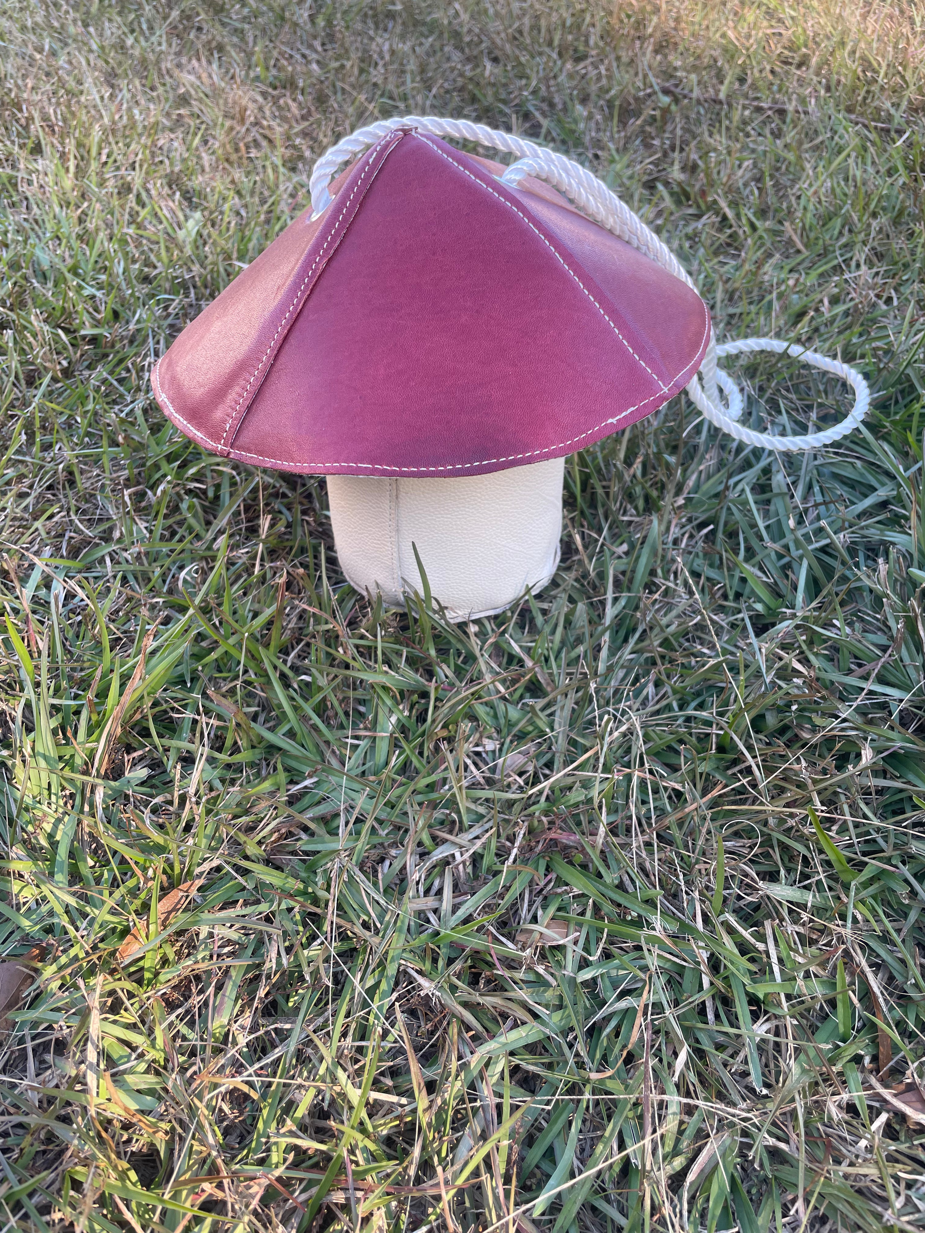 Small mushroom purse