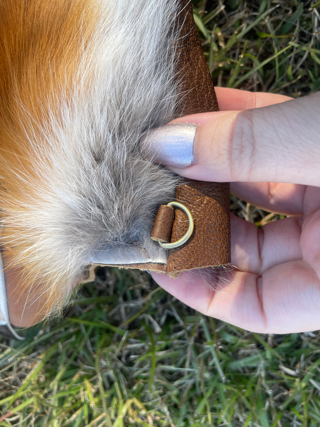Fox purse