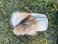 Pioneer pouch